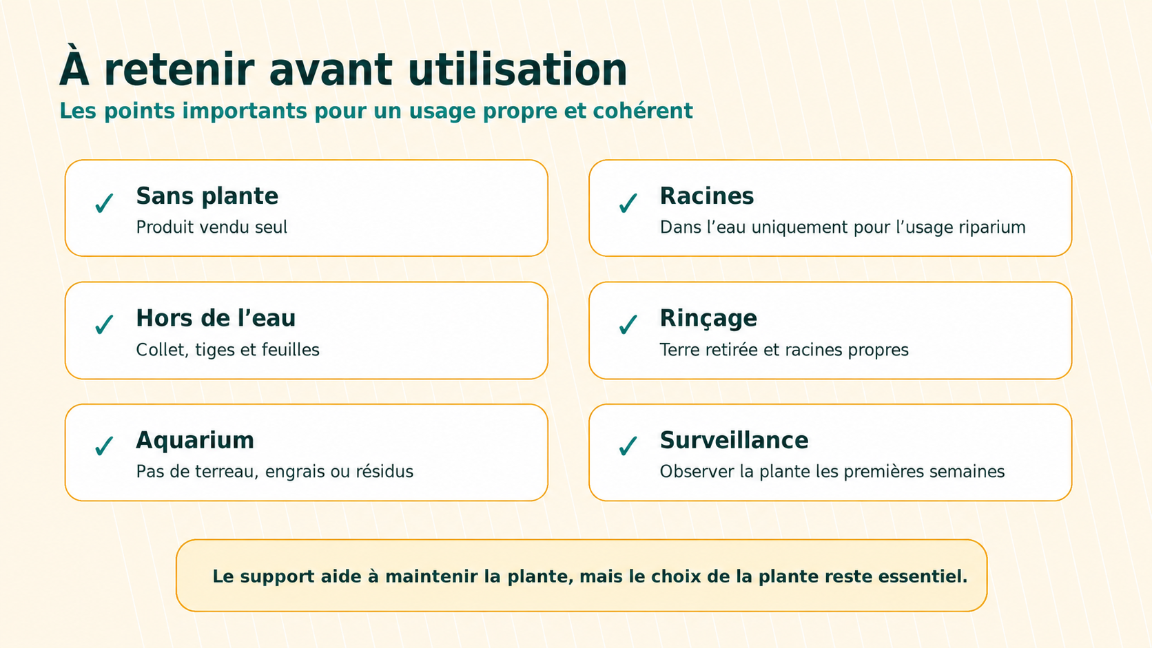 Points importants avant utilisation du support suspendu aquarium racines dans l’eau plantes sans terre Passion Plantes NC