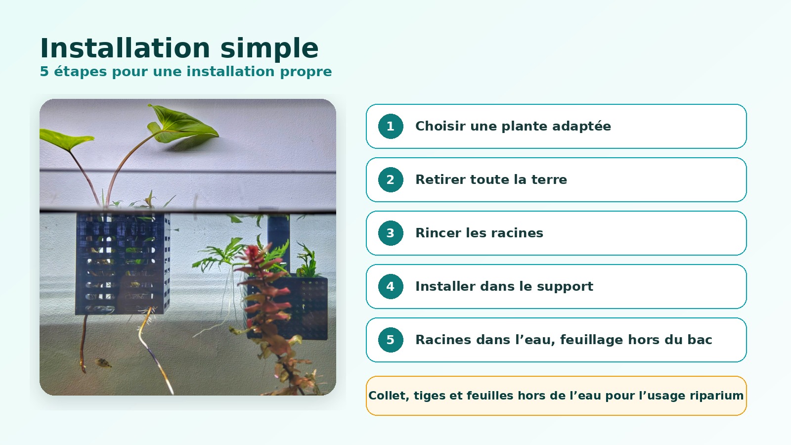 Installation en cinq étapes du support riparium pour aquarium Passion Plantes NC